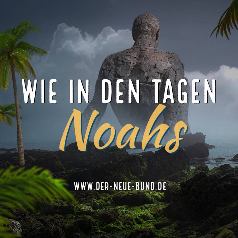 Wie in den Tagen Noahs – Gottes Weisheit und die Zeichen der Zeit